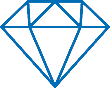 Protection icon